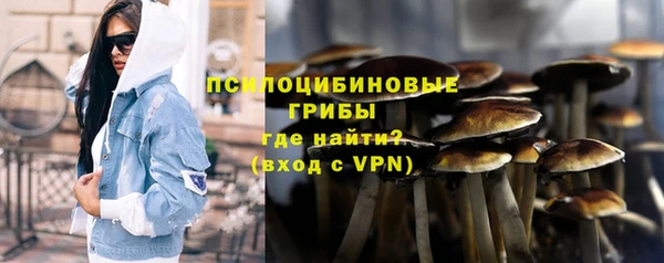 тгк Белокуриха