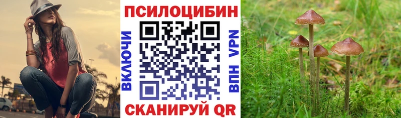 Псилоцибиновые грибы Cubensis  Шагонар 